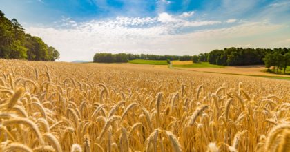 Farm safety – the “seen” and “unseen” hazards