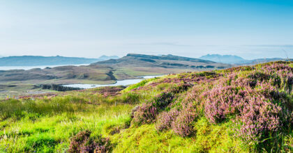 Land Reform (Scotland) Bill introduced March 2024