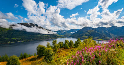 Natural Environment (Scotland) Bill introduced February 2025