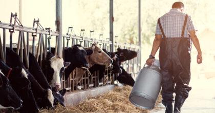 Farming Workforce Challenges – Recruitment Routes and Visa Changes